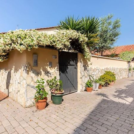 Casa “Oasi Del Mare” Apartamento Livorno Exterior foto